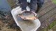 IMG-20220126-WA0014.jpg