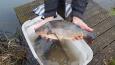 IMG-20220126-WA0017.jpg