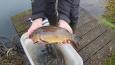 IMG-20220126-WA0019.jpg