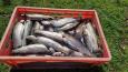IMG-20250419-WA0010.jpg
