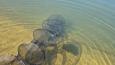 IMG-20250419-WA0012.jpg