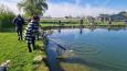 IMG-20250419-WA0013.jpg