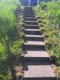 IMG-20250503-WA0002.jpg