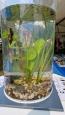 IMG-20250608-WA0002.jpg