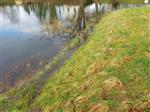 Hoog water in de kolk